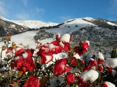 Nieve en Catedral